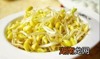 黄豆芽炒什么菜好吃 黄豆芽什么菜一起炒好吃