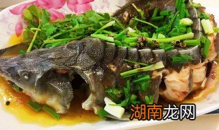鲟龙鱼的做法 鲟龙鱼如何做