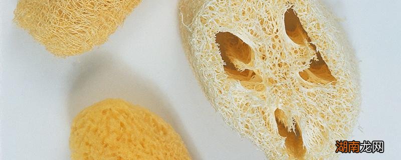 丝瓜络的功效与作用 丝瓜络怎么用