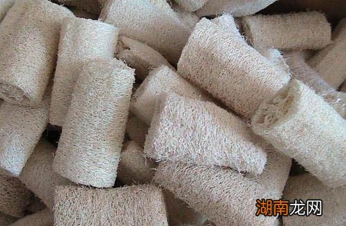 丝瓜络的功效与作用 丝瓜络其实是个宝贝