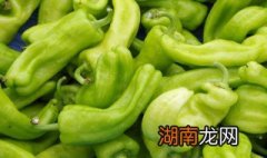 青辣椒保鲜方法 青辣椒保鲜方法推荐