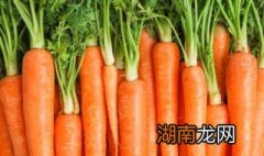 胡萝卜储存温度 胡萝卜储存温度?