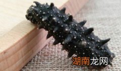 海参泡发的方法 泡发海参的步骤