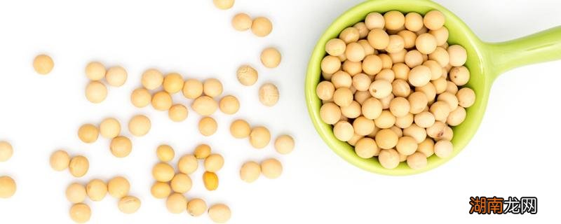 黄豆能泡一晚上吗 黄豆泡了48小时还能吃吗