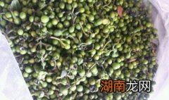 木姜子油怎么做 木姜子油怎么做法