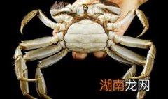 红烧正蟹如何做 做红烧正蟹的方法