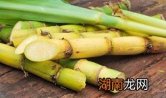 甘蔗煲汤的方法 甘蔗如何做汤