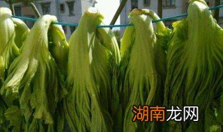 腌芥菜制作方法 腌制小芥菜怎么做呢