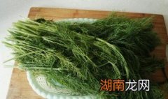 茴香苗腌制方法 凉拌茴香苗做法介绍