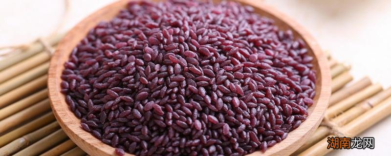 女人吃紫米好还是黑米好 紫米和黑米哪个减肥