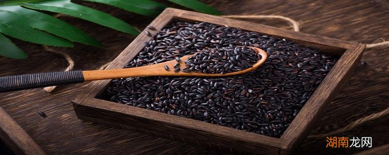 黑米和什么一起搭配煮粥最佳 黑米不能和什么食物同食