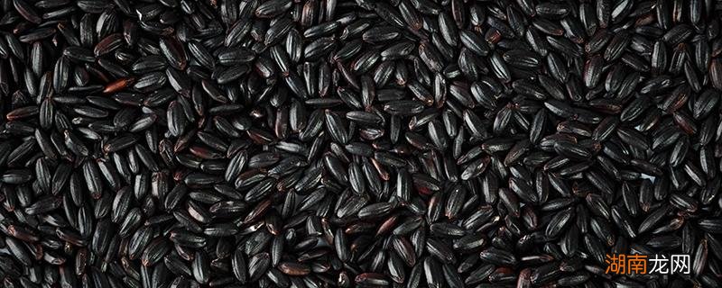 黑米要泡多久 什么人不适合吃黑米