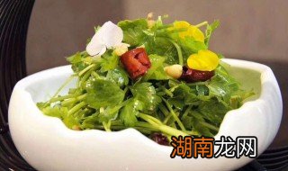 田七的吃法和做法大全 盘点田七的吃法