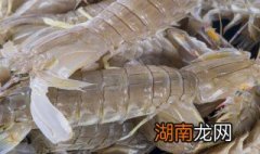 皮皮虾保鲜方法 皮皮虾保鲜方法介绍