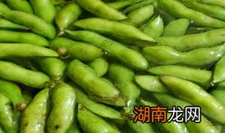 毛豆保鲜保存的方法 毛豆保鲜保存的方法介绍