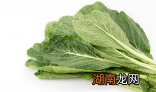 芥兰菜怎么炒好吃家常做法 芥兰菜怎么炒好吃