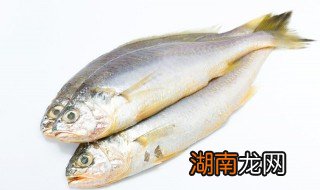 黄花鱼怎么煎才好吃又简单 黄花鱼怎么煎才好吃