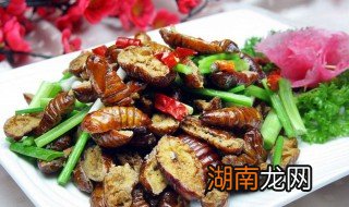 香煎蚕蛹如何做 怎么做香煎蚕蛹