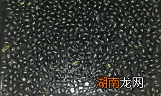 烤箱烤黑豆教程 烤箱烤黑豆教程是什么