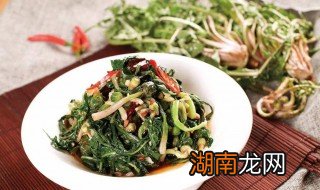 腌制苦菜教程 如何腌制苦菜