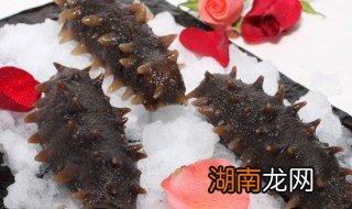 海参高压锅做法 如何用高压锅焖海参