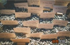 葵花籽的功效与作用及禁忌