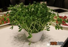 瘦脸吃什么食物最有效 4种食物千万别错过