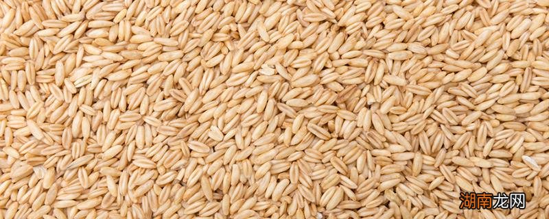 燕麦吃了起什么作用 燕麦吃了有哪些好处