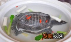 怎样做甲鱼汤 具体怎么做甲鱼汤