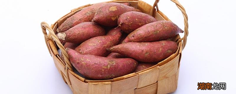 地瓜发芽能吃吗 地瓜怎么保存不发芽