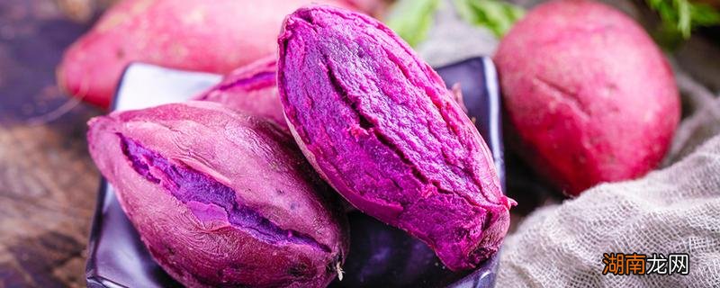 紫薯蒸多长时间能熟 紫薯和玉米哪个更减肥