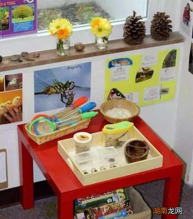 小班幼儿个案跟踪记录