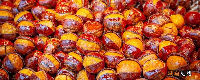 锥栗和板栗营养价值一样吗 锥栗和板栗哪个好吃