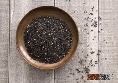 芝麻怎么吃有营养 芝麻的吃法跟做法大全