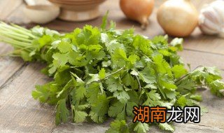 凉拌香菜怎么做凉拌香菜的做法 凉拌香菜怎么做