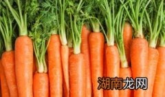 胡萝卜饼怎么做好吃