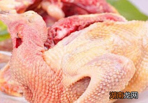鸽肉吃了有什么好处 食用鸽子肉需要注意什么