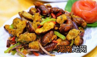 干煸蚕蛹怎么做好吃又简单 干煸蚕蛹怎么做好吃