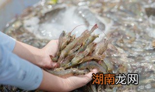 椒盐基围虾的做法 怎样做椒盐基围虾
