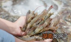 吃不完的虾怎么保存 如何存放虾