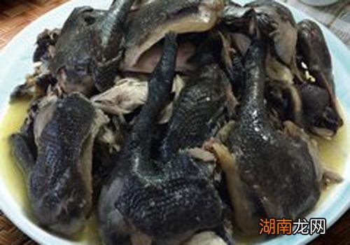 乌鸡的功效与作用