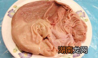 野猪肚怎么烧才好吃