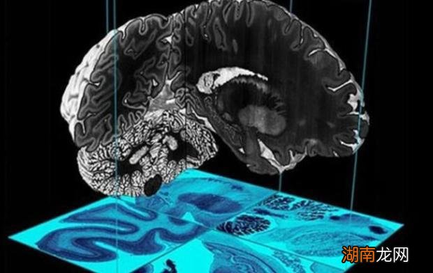 现在什么行业最有发展前景