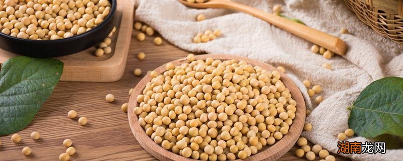 黄豆打豆浆需要煮吗 泡过的黄豆要煮多久才能打豆浆