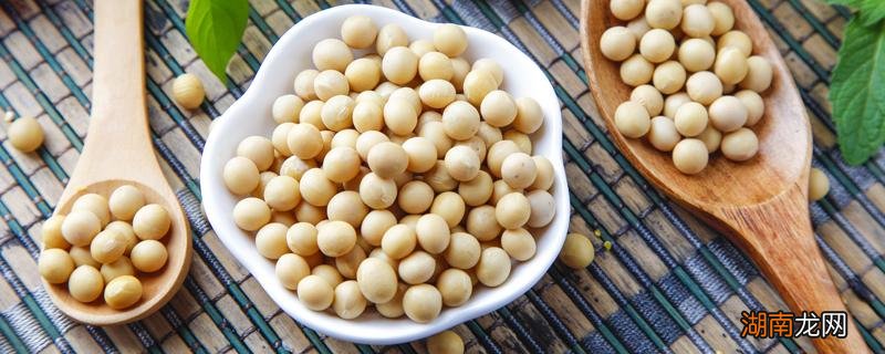 黄豆和什么一起打豆浆最好 打豆浆哪些豆子是相克的