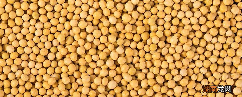 炒黄豆吃了什么好处 炒黄豆有什么食用禁忌