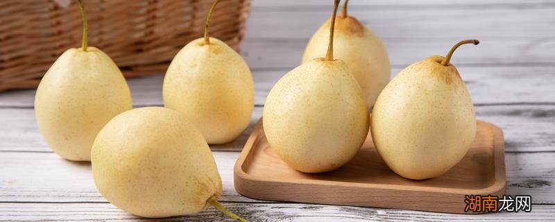 川贝母炖梨一天吃几次 川贝母炖梨的做法