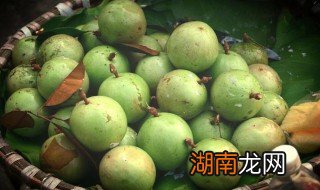 牛奶果怎么吃 牛奶果有营养吗