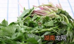 野山芹的制作方法 制作野山芹的方法