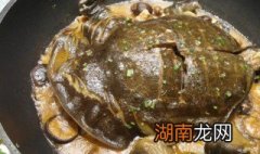 红烧甲鱼方法 如何制作红烧甲鱼